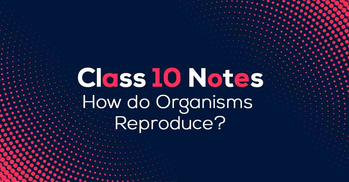 How do Organisms Reproduce? Class 10 Notes