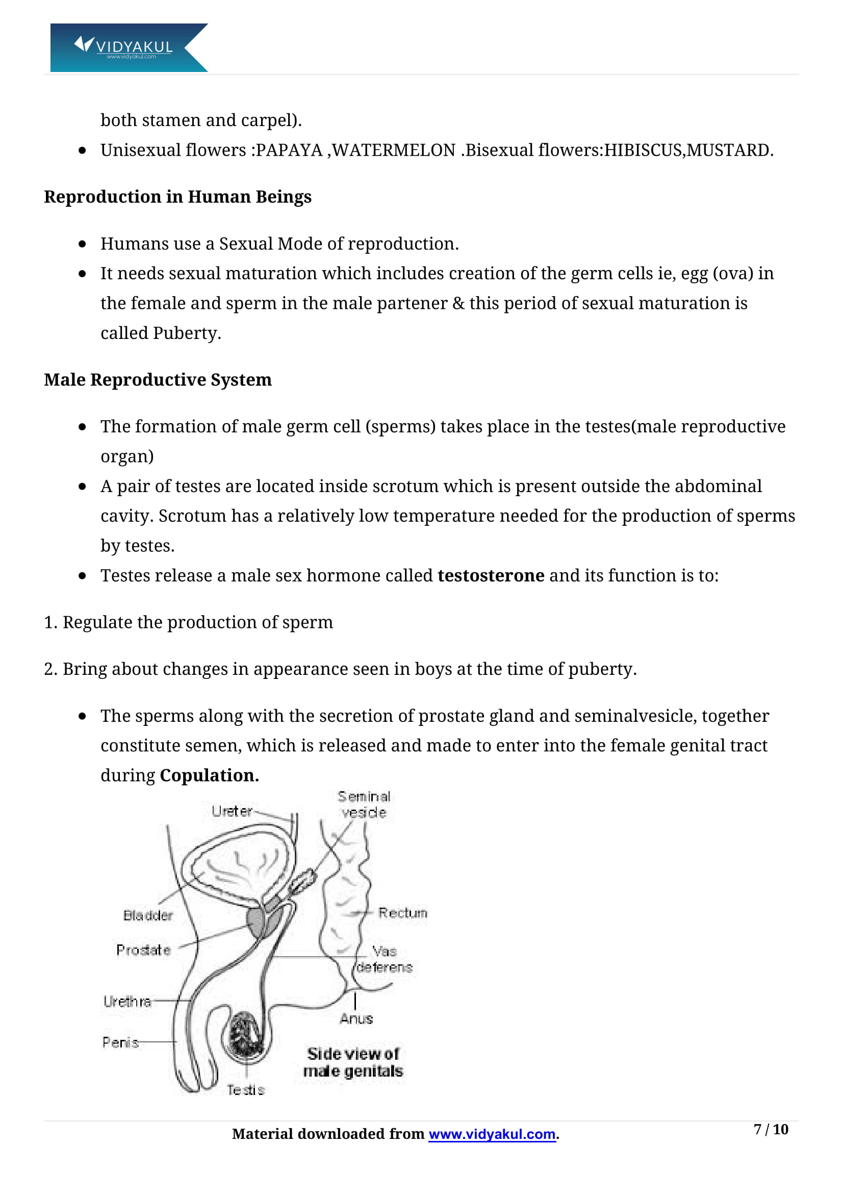 Class 10th Science How Do Organisms Reproduce Ncert Notes Cbse 2023 8990