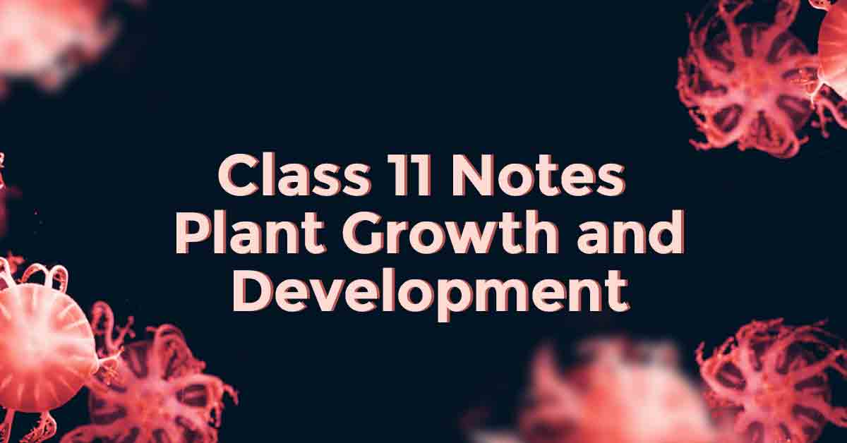 Plant Growth and Development Class 11 Notes