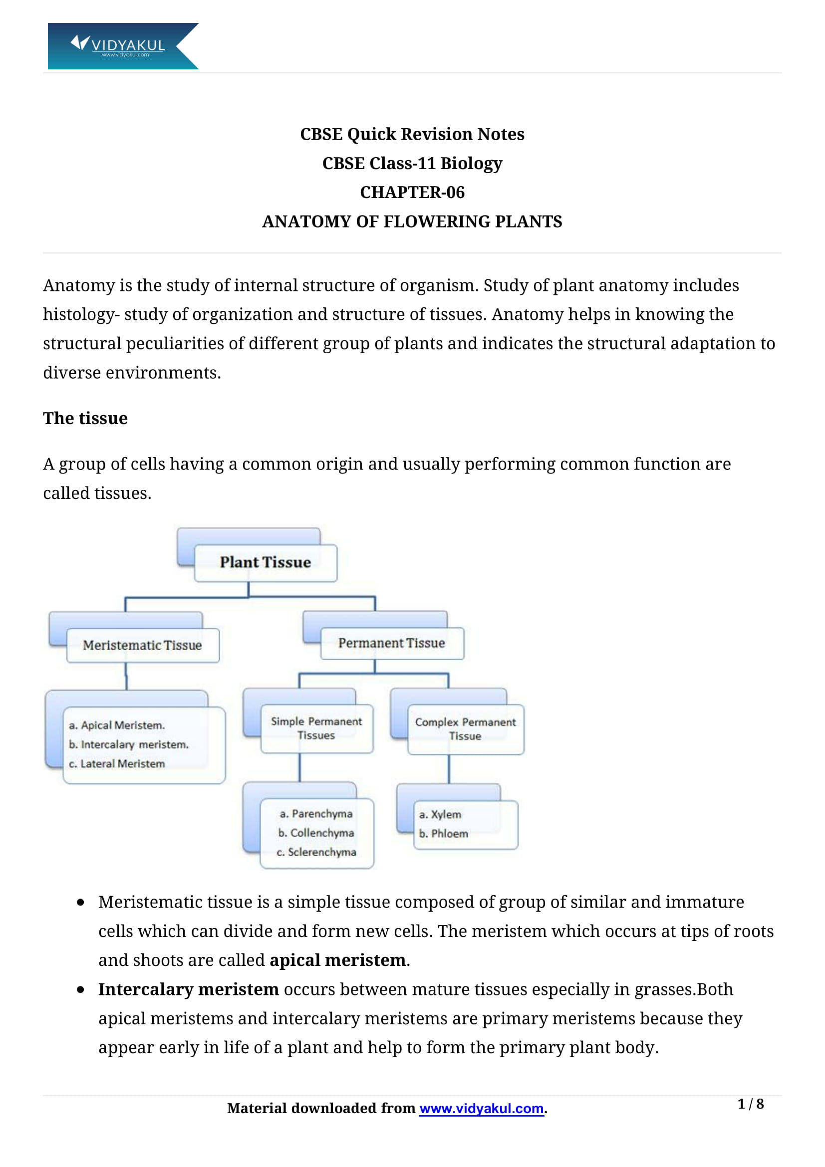 Anatomy Of Flowering Plants Class 11 Notes Vidyakul 