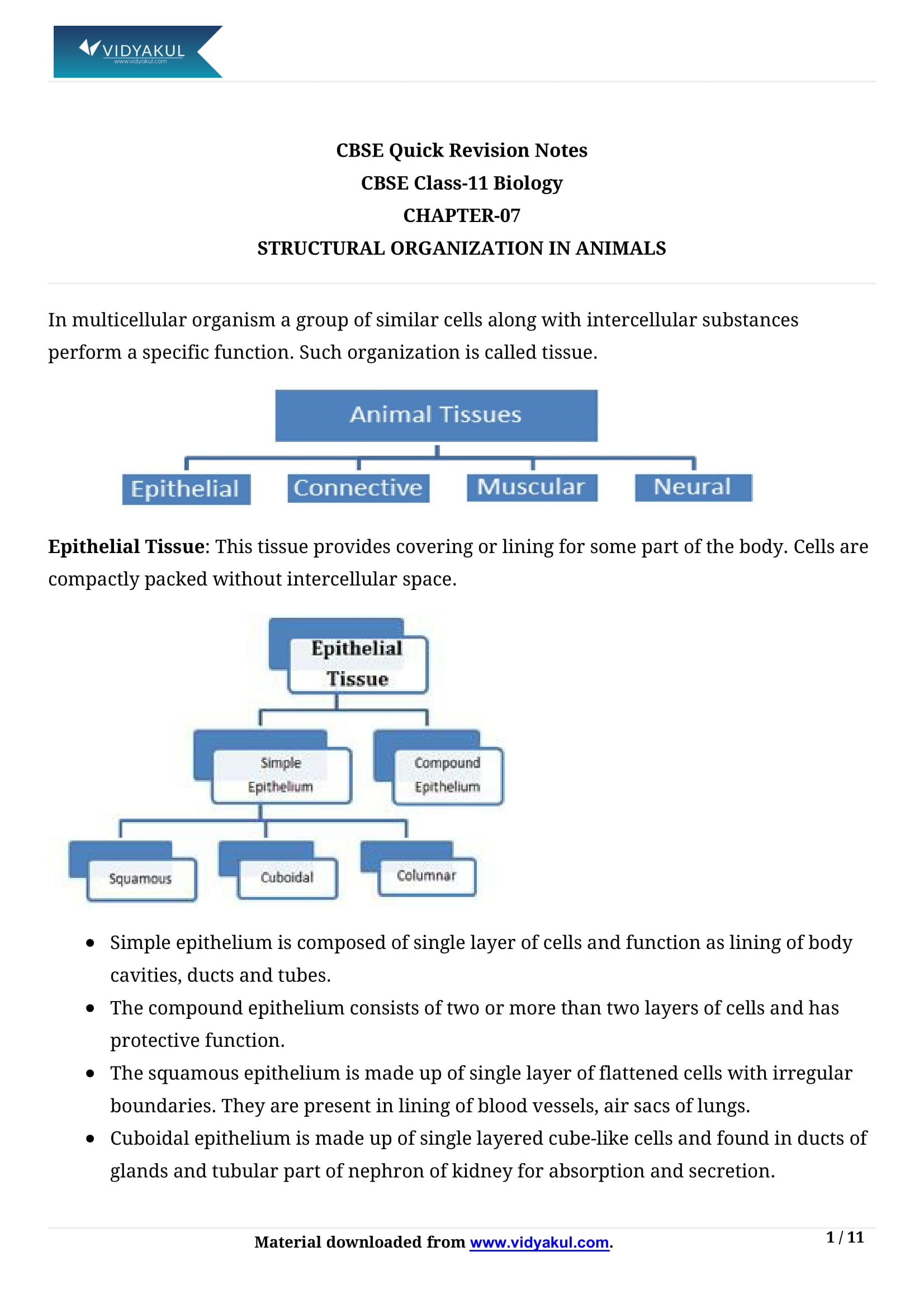 Structural Organization In Animals Class 11 Notes Vidyakul