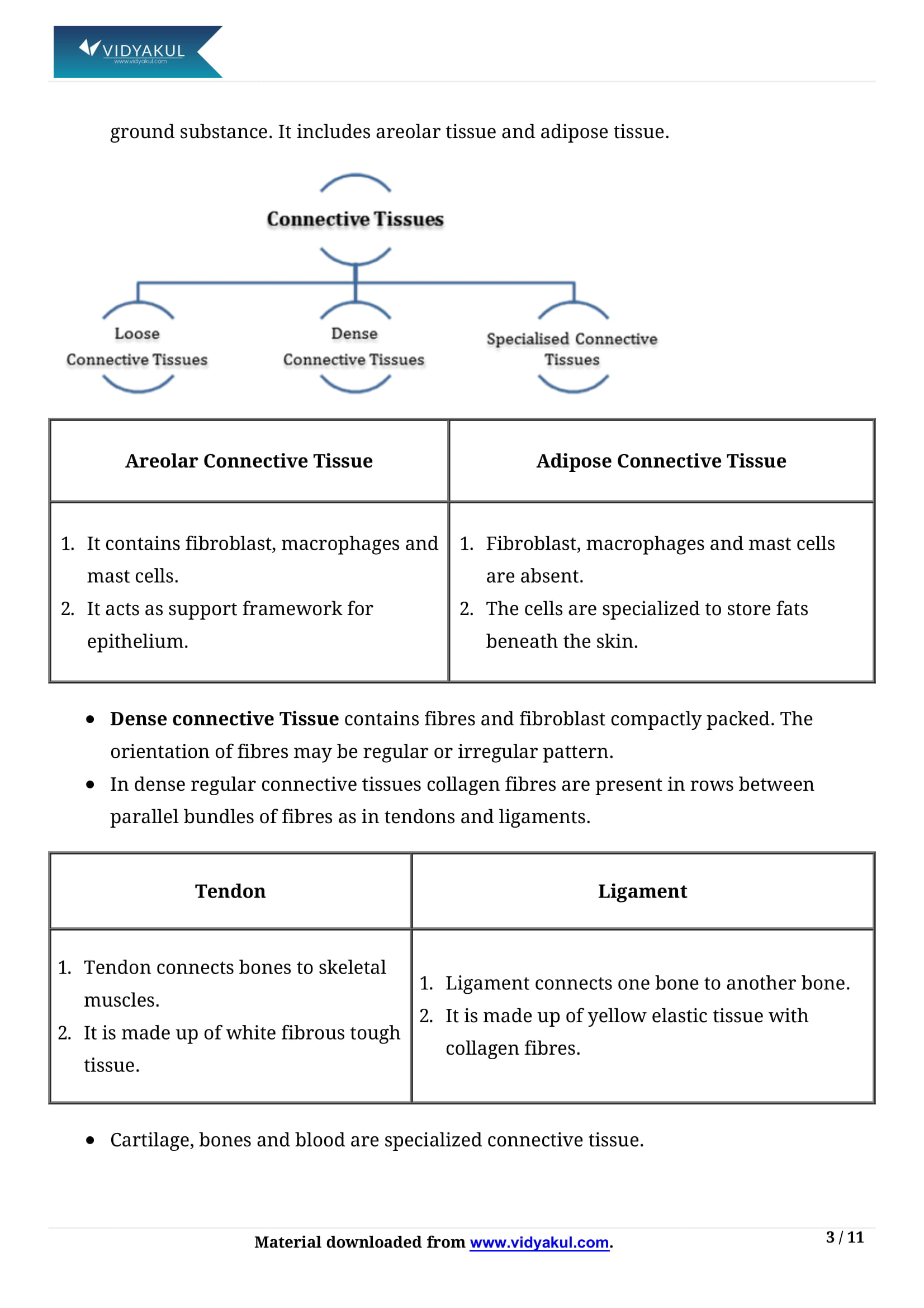 Structural Organization in Animals Class 11 Biology Notes Part - 3