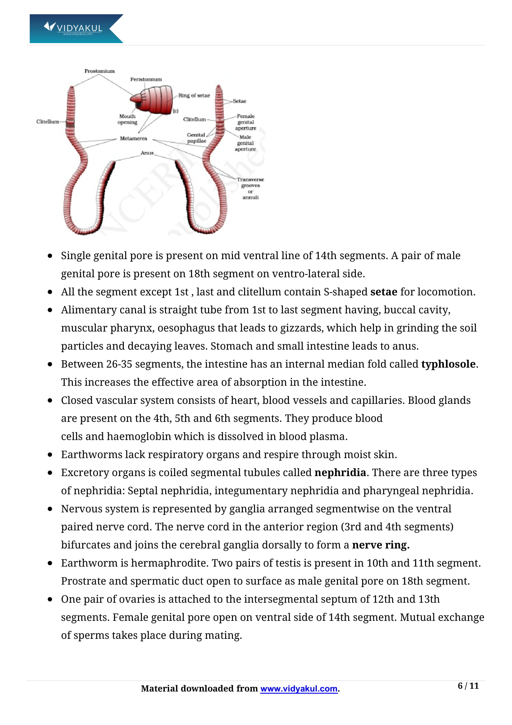 Structural Organization In Animals Class 11 Notes Vidyakul