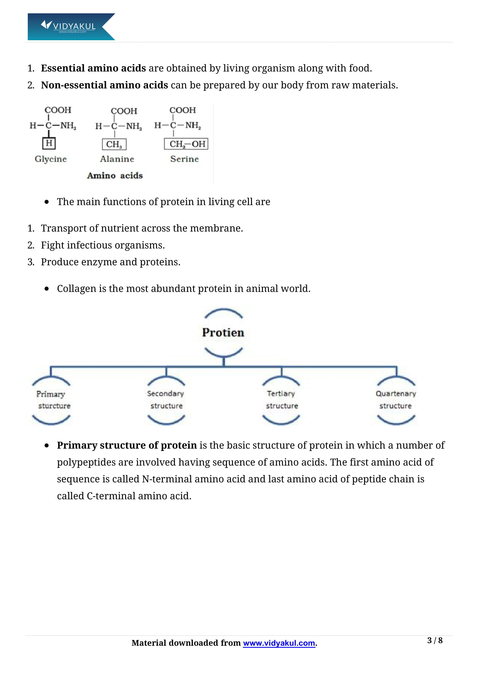 Biomolecules class 11 notes vidyakul