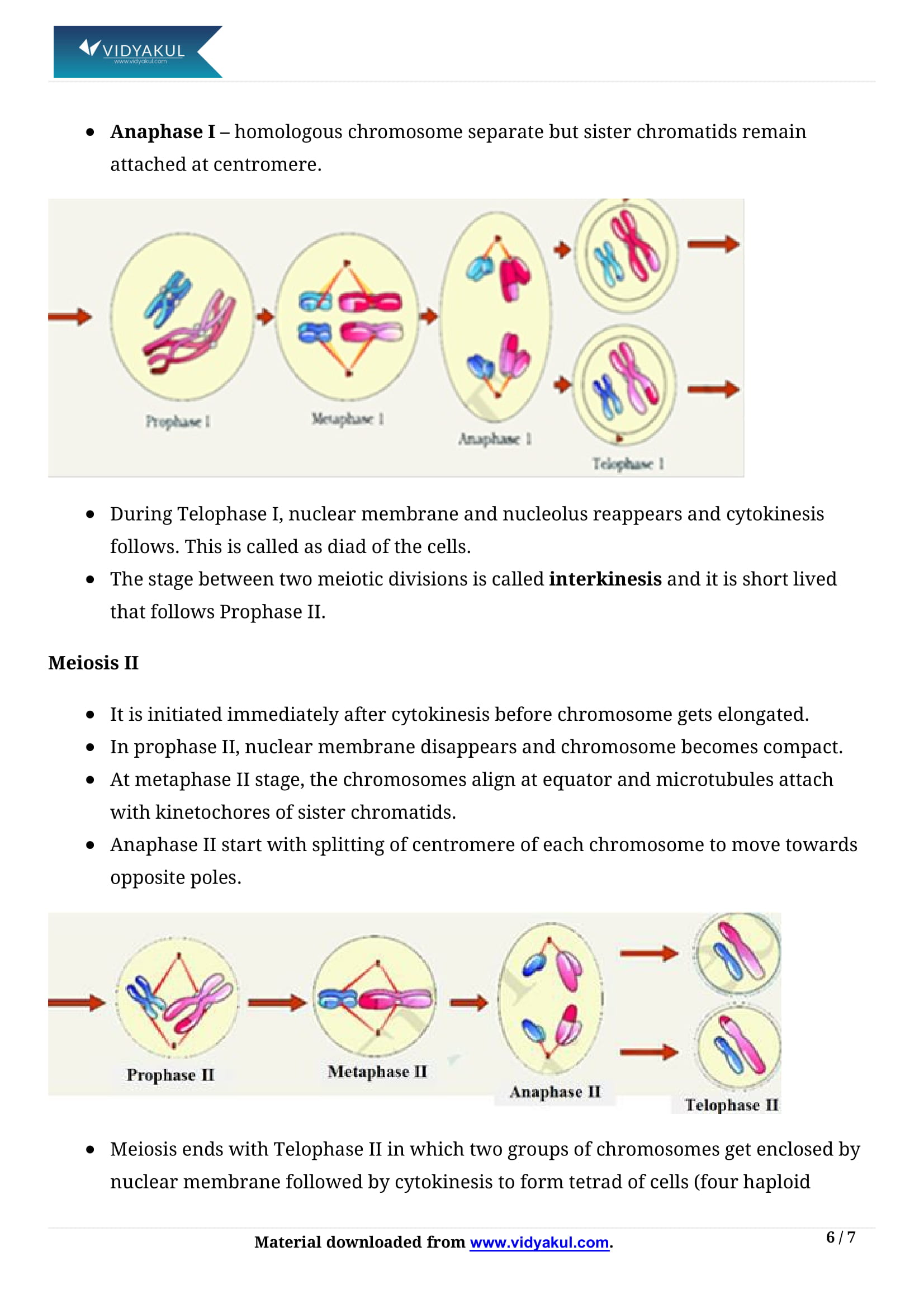 Cell Cycle And Cell Division Notes For Class 11 Biology Pdf Download Aa4