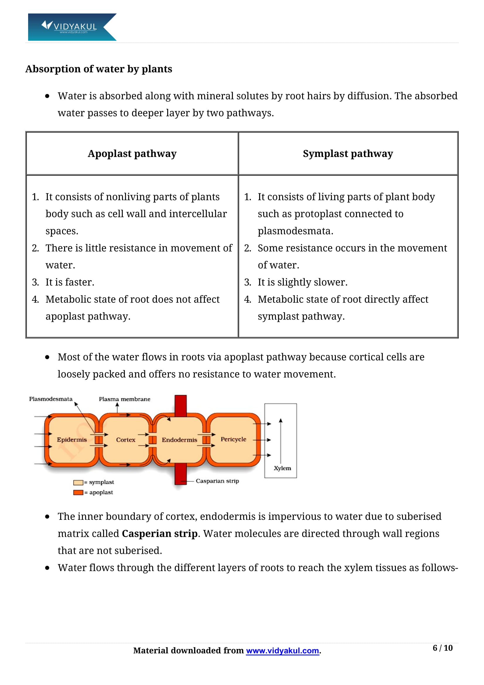 Transport in Plants Class 11 Biology Notes Part - 6