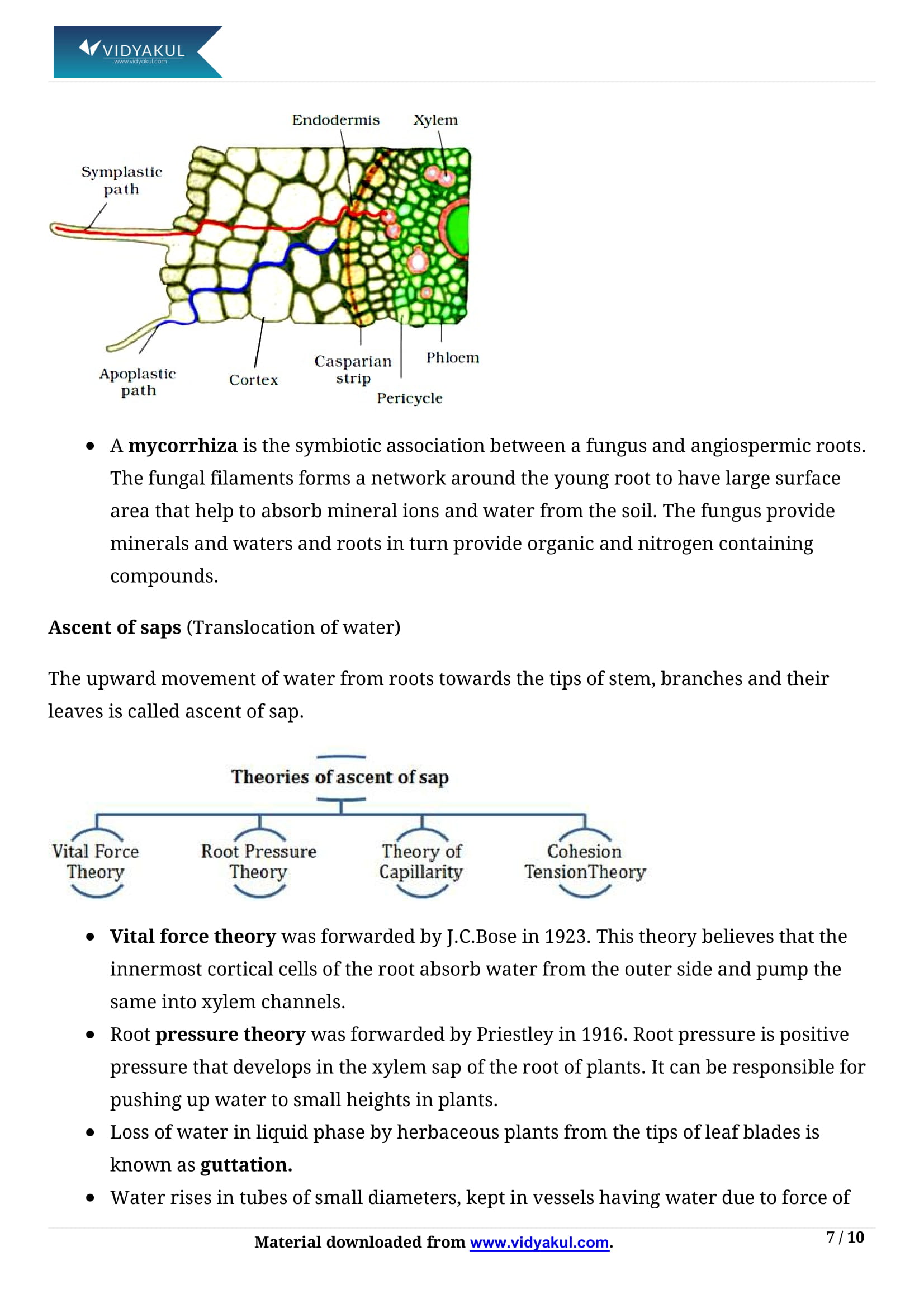 Transport in Plants Class 11 Biology Notes Part - 7