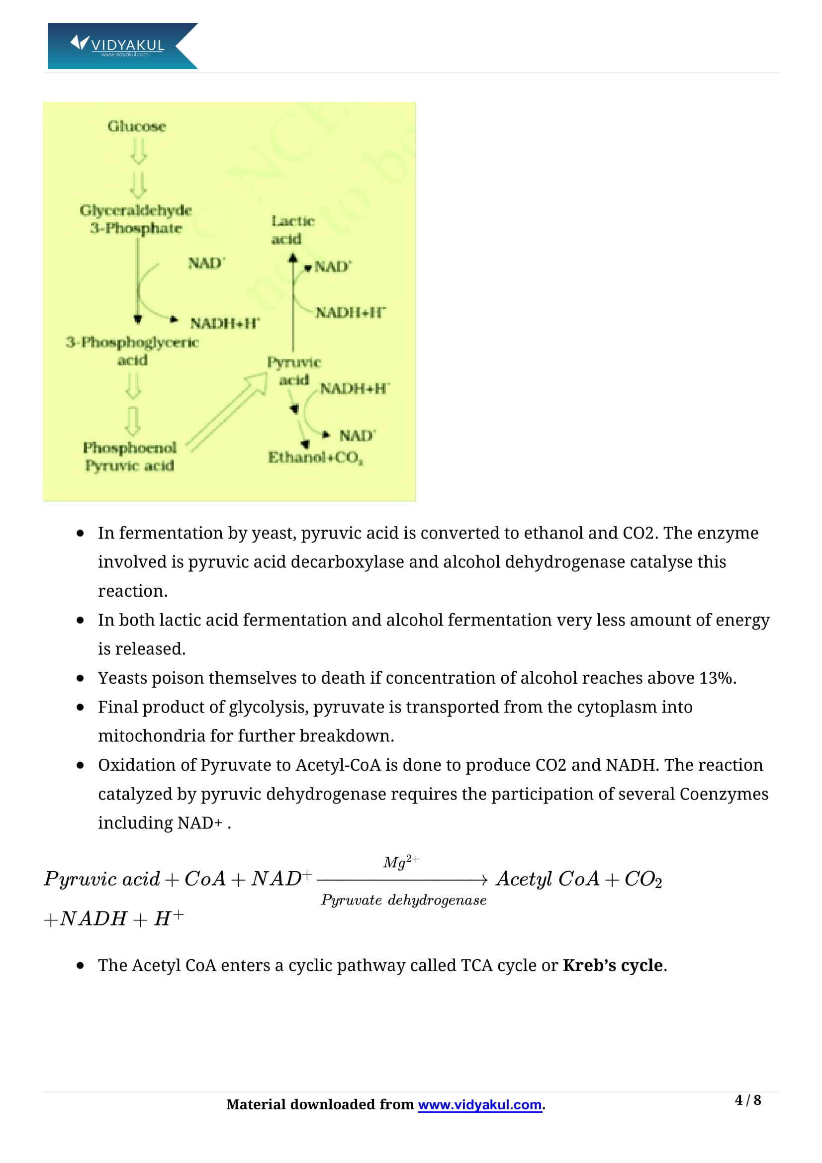 Respiration in Plants Class 11 Biology Notes Part - 4