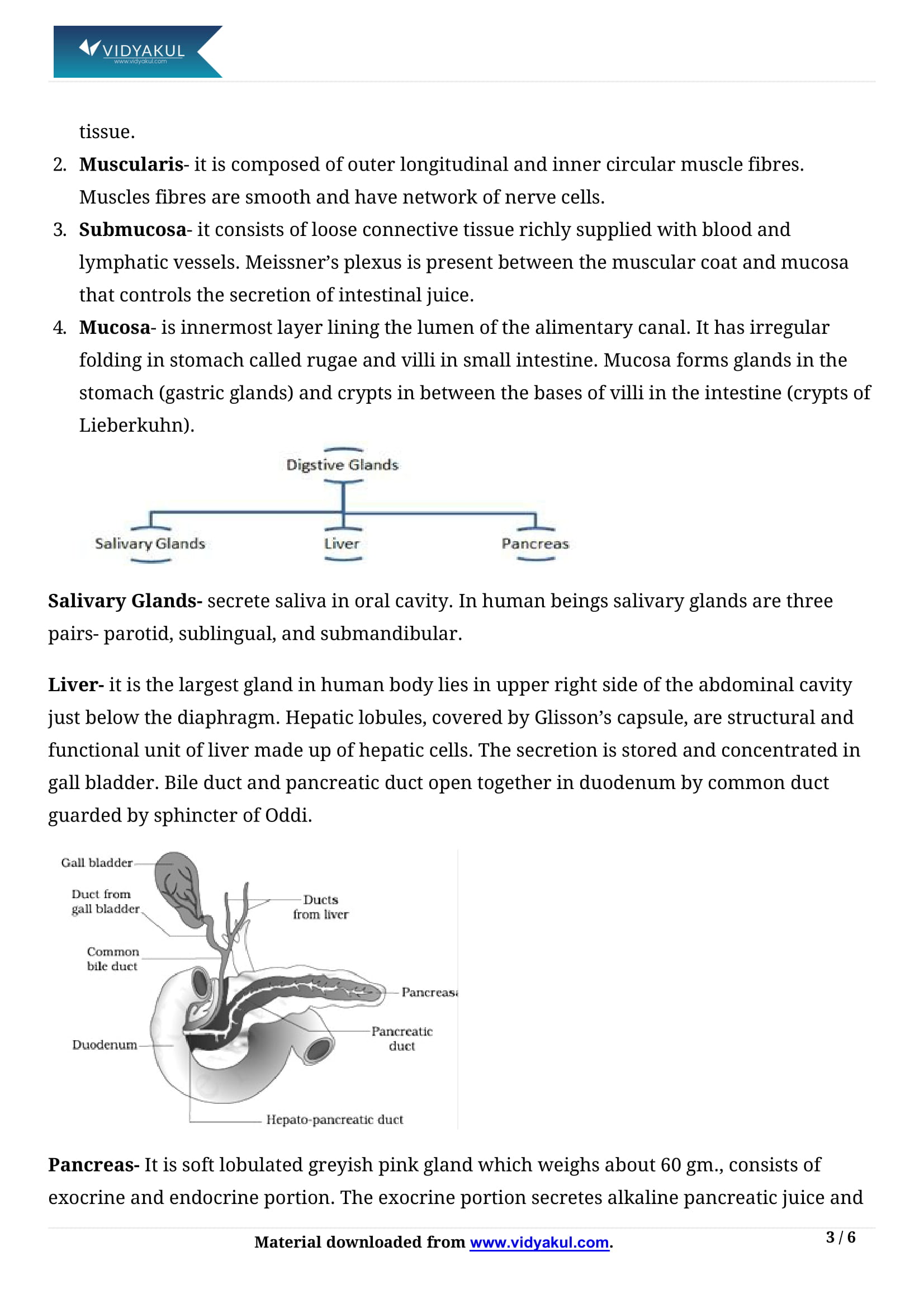 Digestion and Absorption Class 11 Biology Notes Part - 3