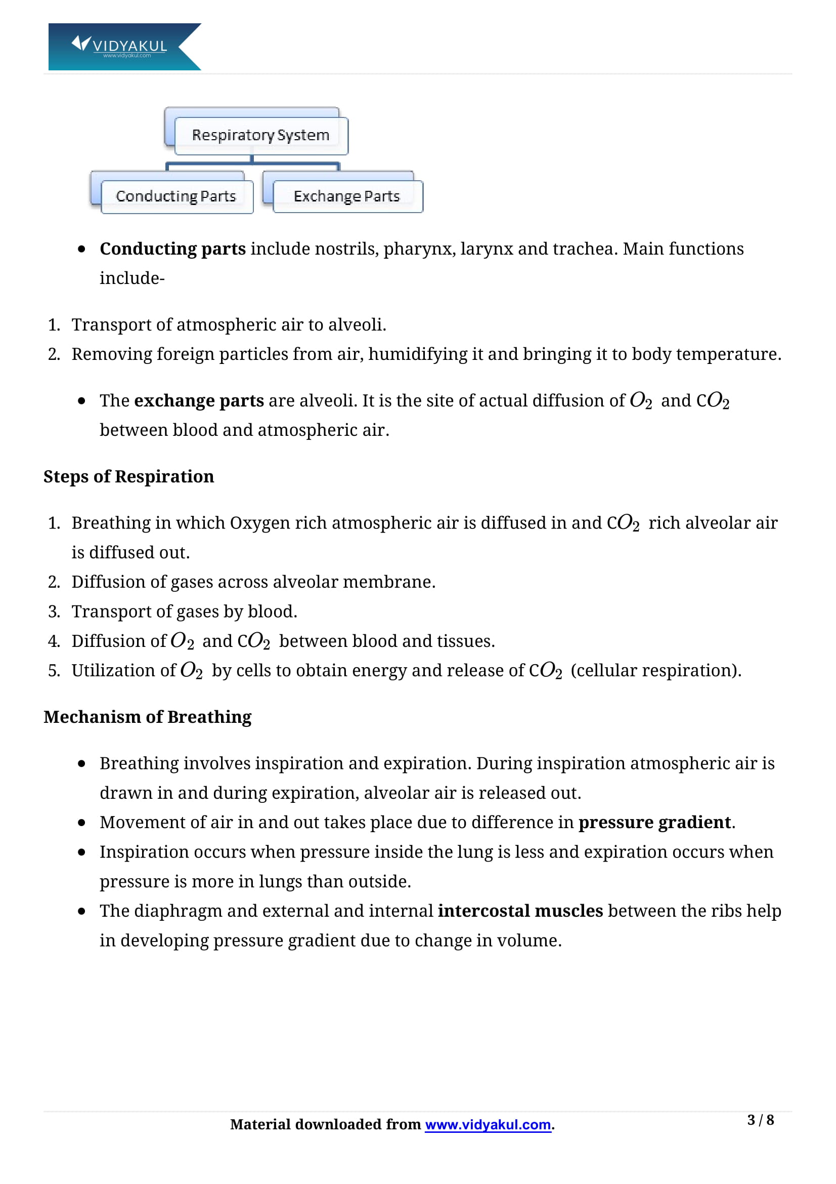 Breathing and Exchange of Gases Class 11 Biology Notes Part - 3