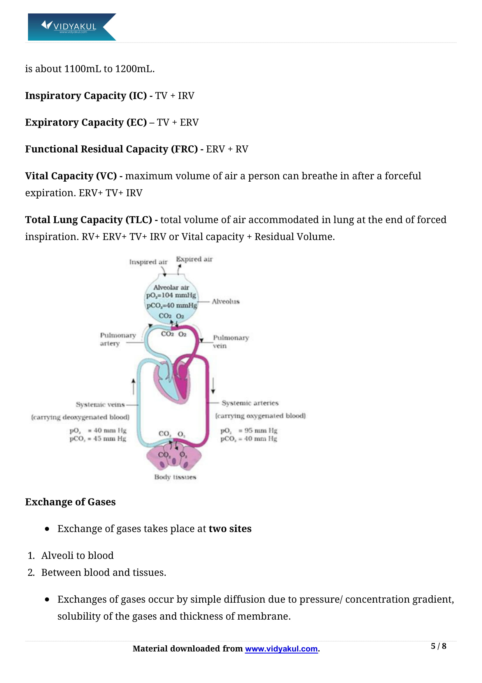 Breathing and Exchange of Gases Class 11 Biology Notes Part - 5