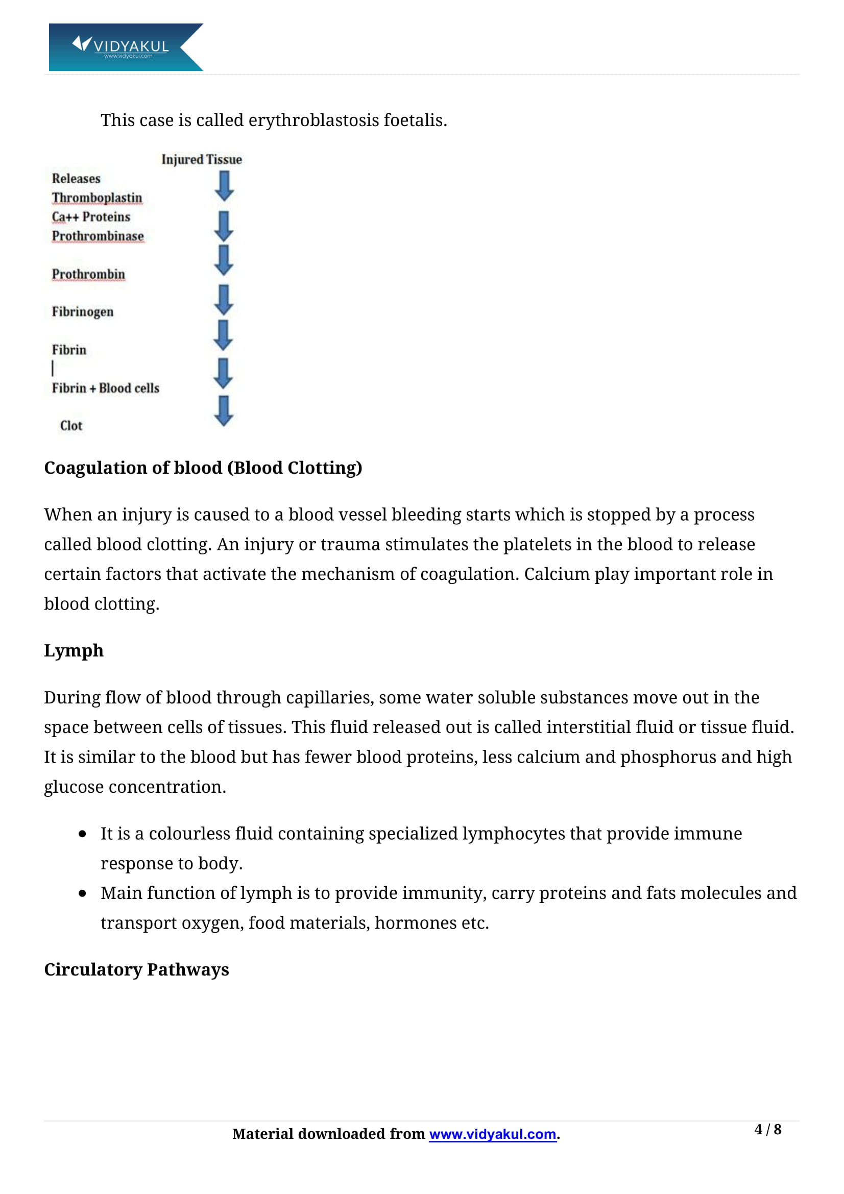 Body Fluids and Circulation Class 11 Biology Notes Part - 4