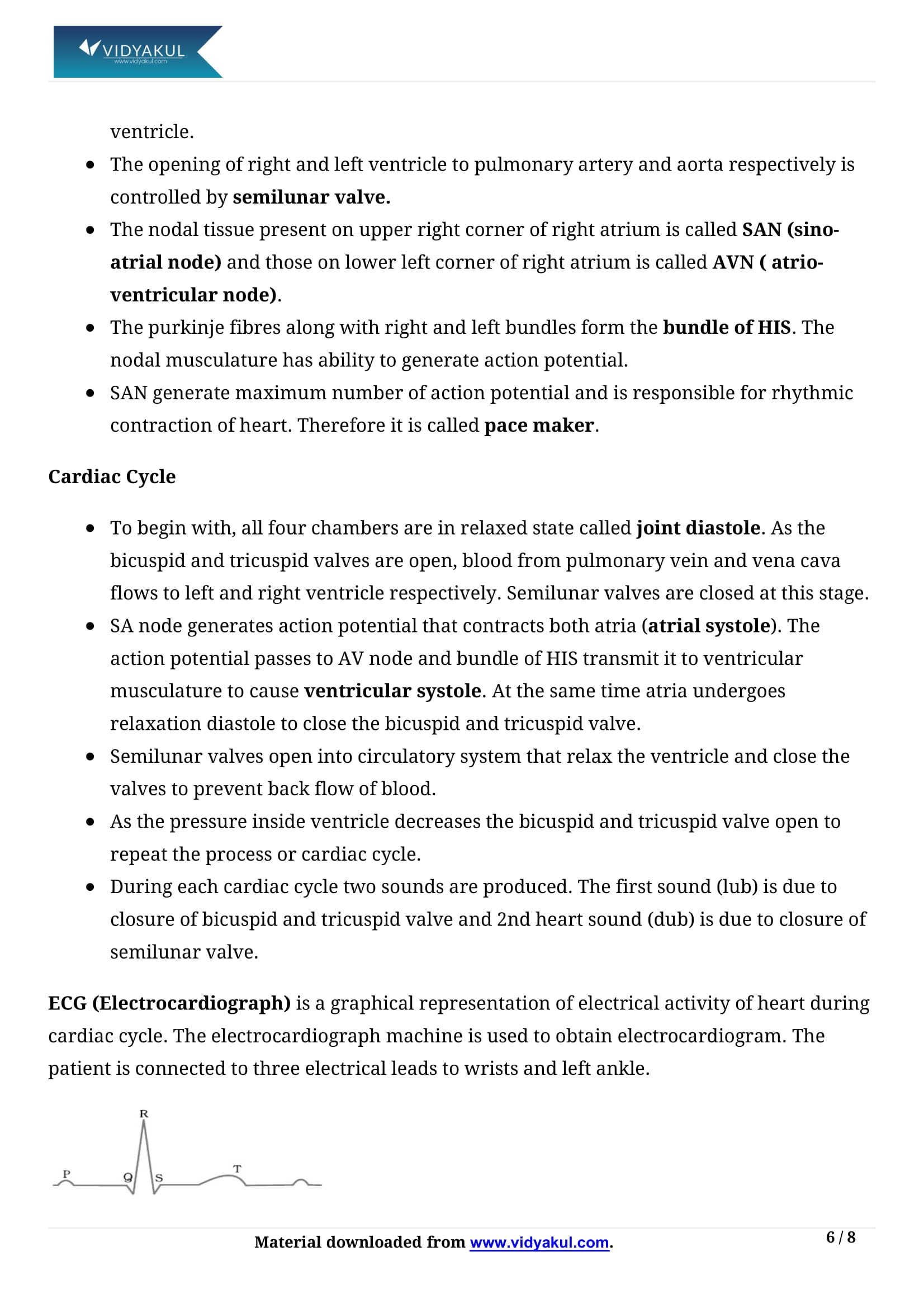 Body Fluids and Circulation Class 11 Biology Notes Part - 6