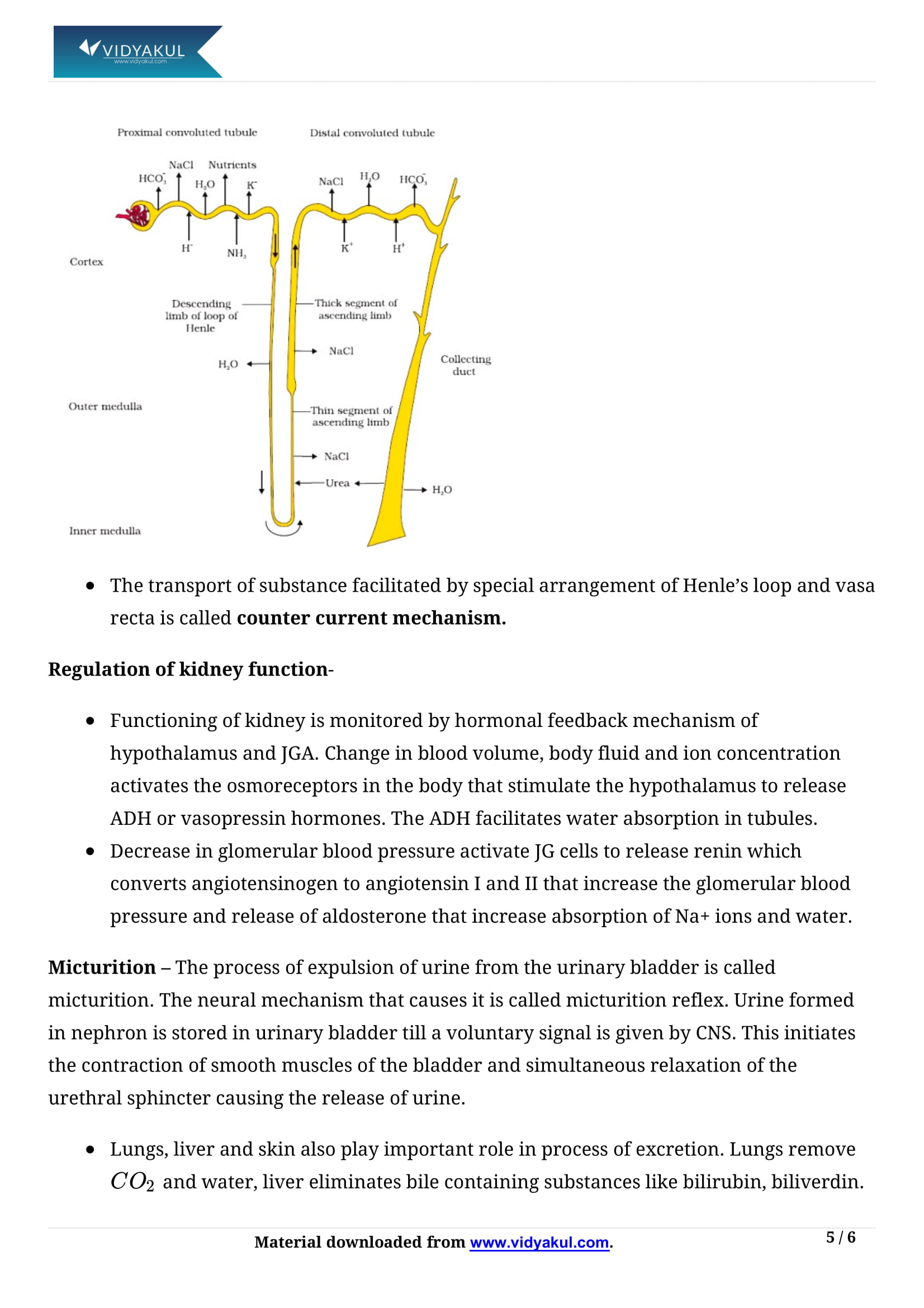Excretory Products and their Elimination Class 11 Biology Notes Part - 5