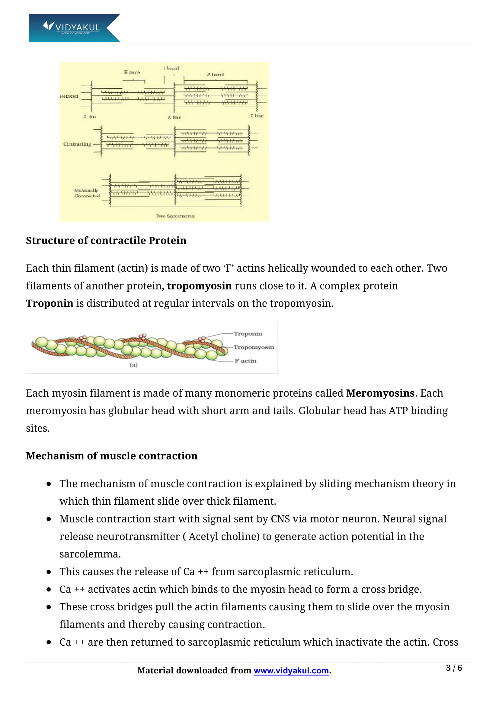 Locomotion and Movement Class 11 Biology Notes Part - 3