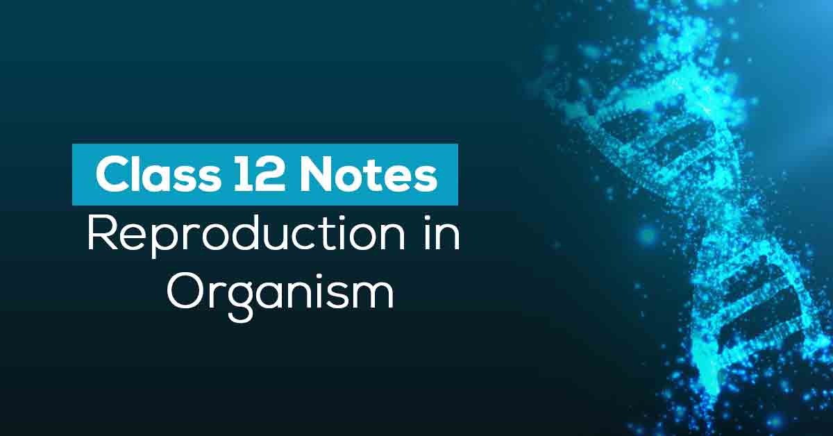 Reproduction in Organism Class 12 Notes