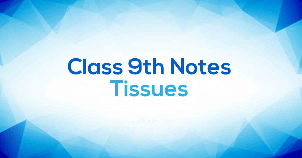 Tissues Class 9 Notes