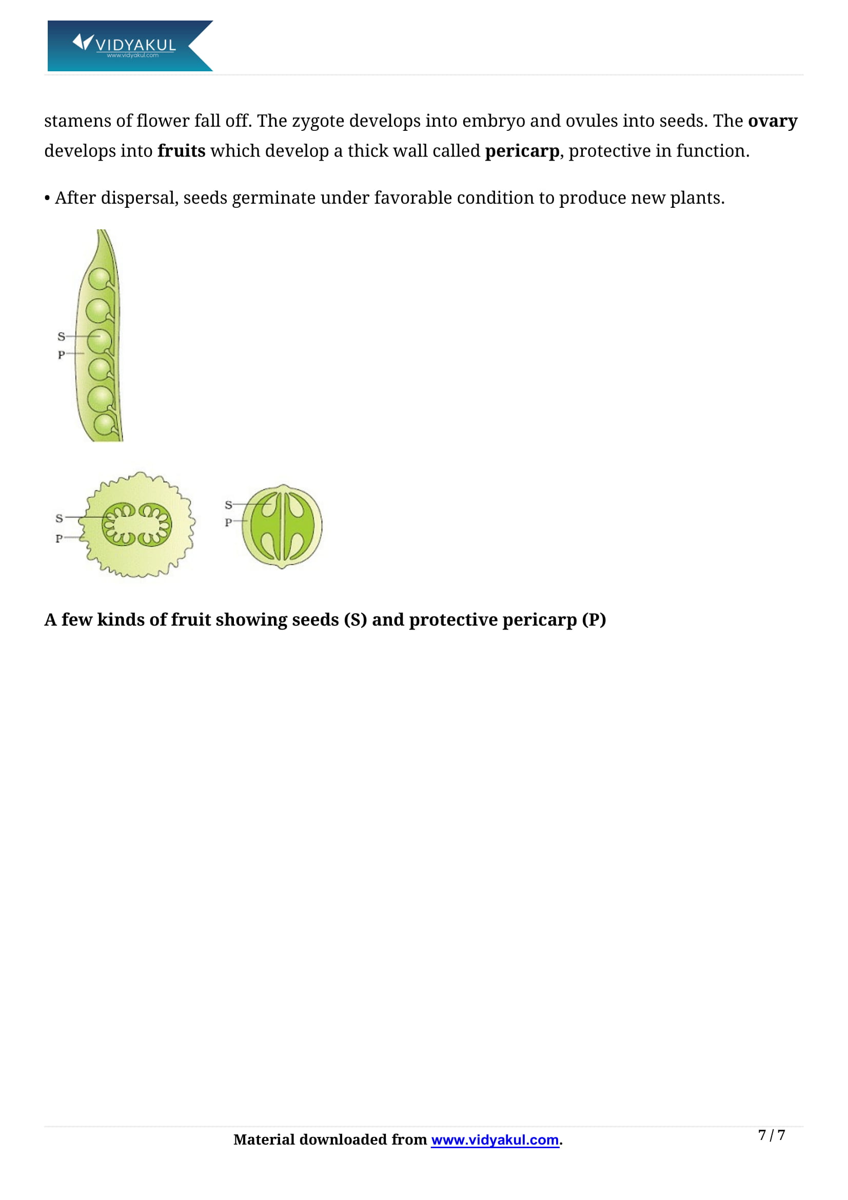 Reproduction in Organism Class 12 Biology Notes Part - 7