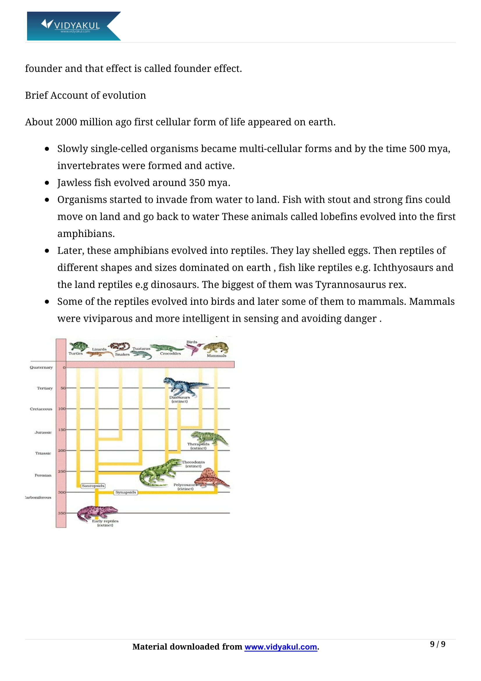 write an essay on human evolution class 12