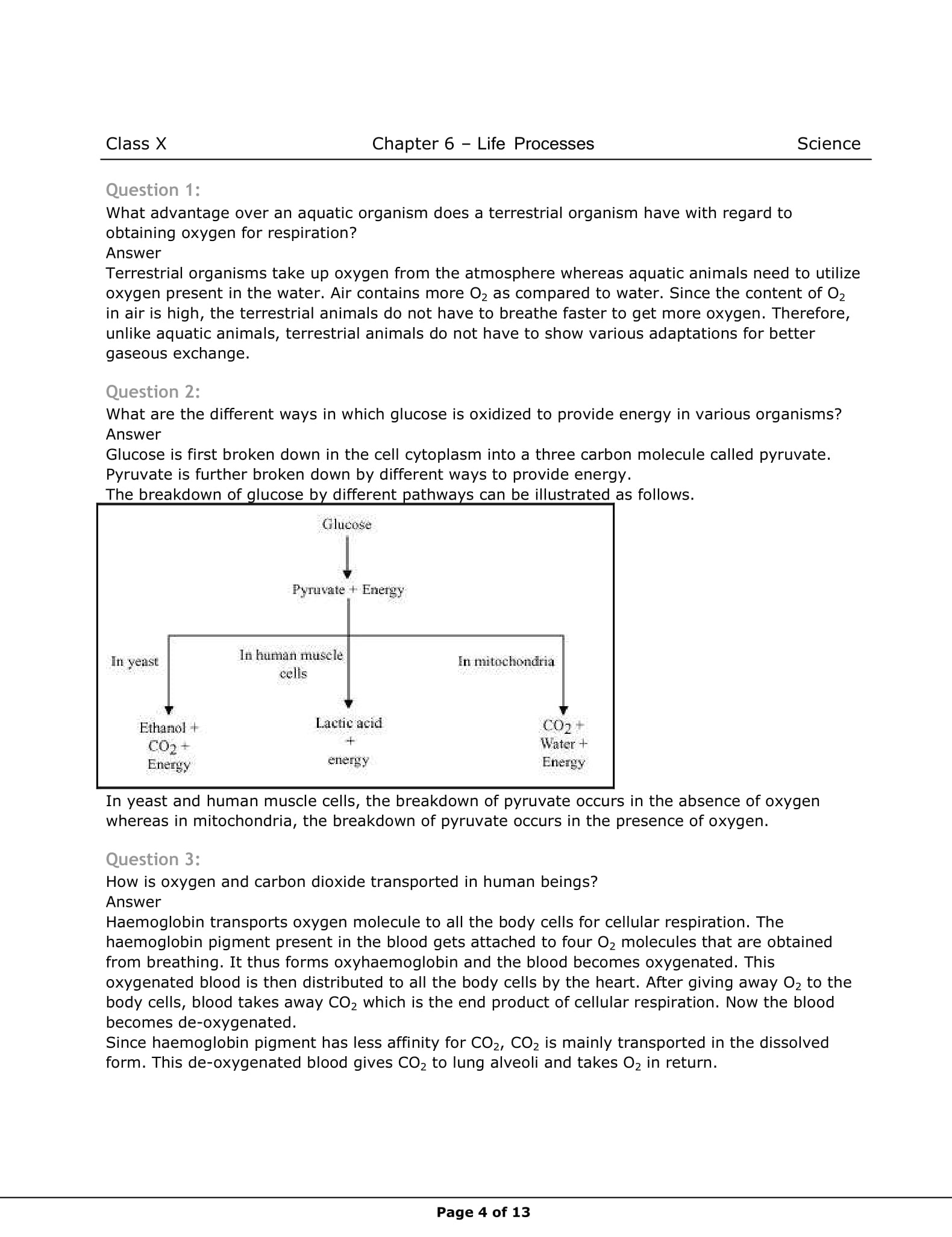 class 10 science notes of chapter 6 life processes